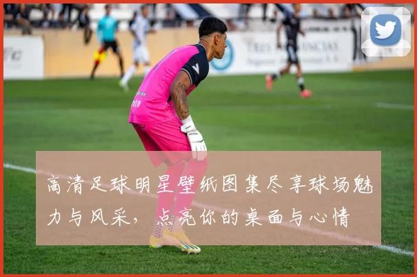 高清足球明星壁纸图集尽享球场魅力与风采，点亮你的桌面与心情