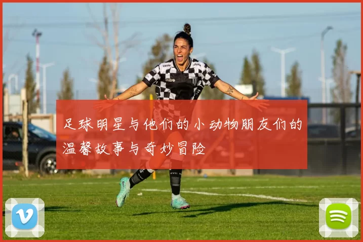 足球明星与他们的小动物朋友们的温馨故事与奇妙冒险