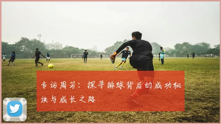 专访周芳：探寻排球背后的成功秘诀与成长之路