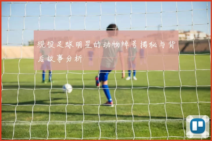 现役足球明星的动物绰号揭秘与背后故事分析