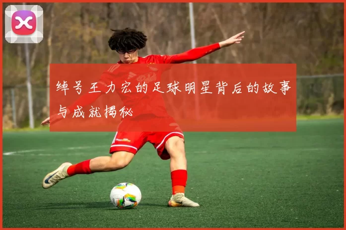 绰号王力宏的足球明星背后的故事与成就揭秘