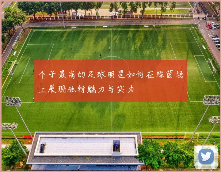 个子最高的足球明星如何在绿茵场上展现独特魅力与实力