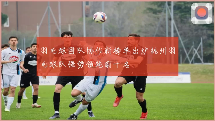 羽毛球团队协作新榜单出炉杭州羽毛球队强势领跑前十名