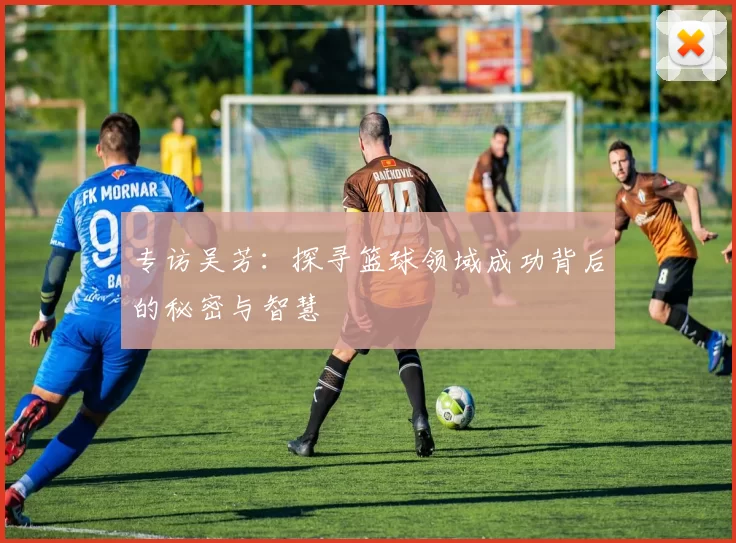 专访吴芳：探寻篮球领域成功背后的秘密与智慧