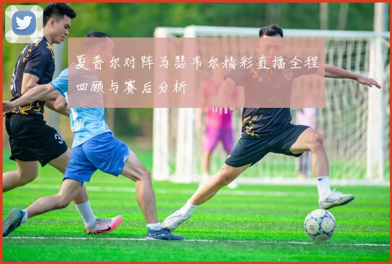 夏普尔对阵马瑟韦尔精彩直播全程回顾与赛后分析