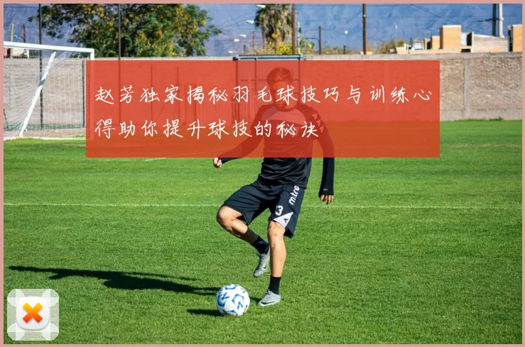 赵芳独家揭秘羽毛球技巧与训练心得助你提升球技的秘诀