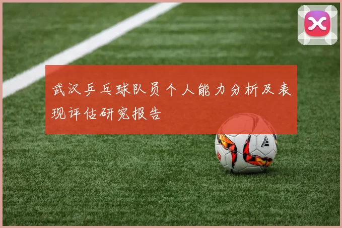 武汉乒乓球队员个人能力分析及表现评估研究报告