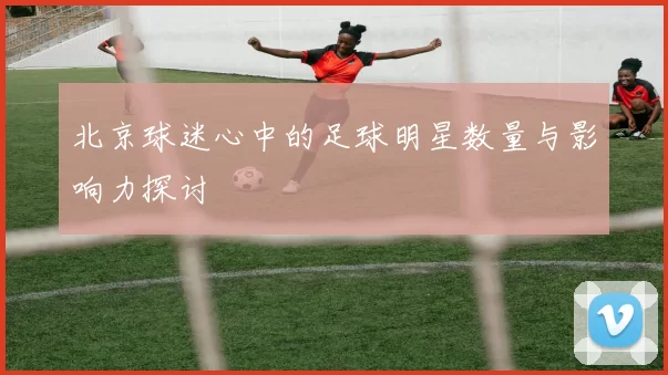北京球迷心中的足球明星数量与影响力探讨