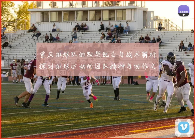 重庆排球队的默契配合与战术解析探讨排球运动的团队精神与协作之美