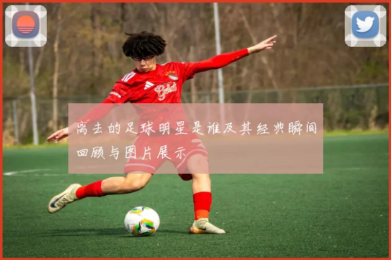 离去的足球明星是谁及其经典瞬间回顾与图片展示