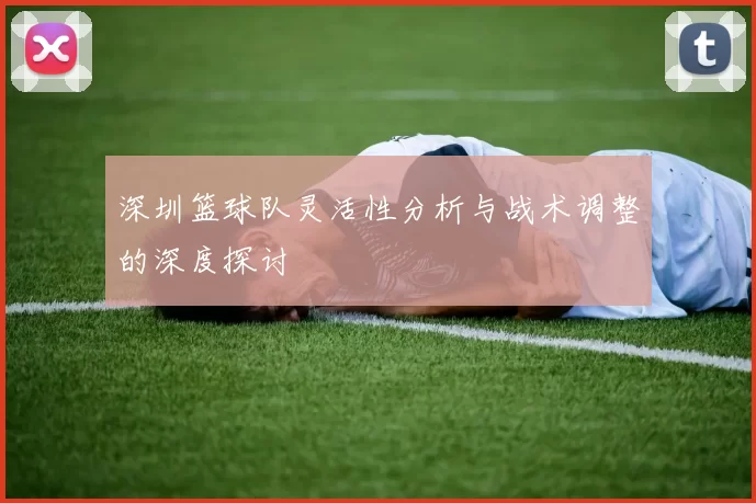 深圳篮球队灵活性分析与战术调整的深度探讨