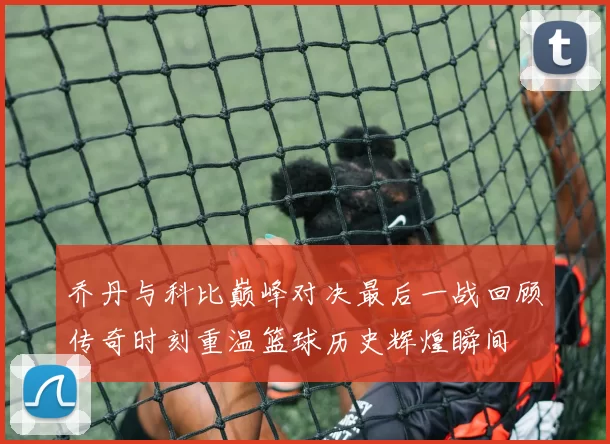 乔丹与科比巅峰对决最后一战回顾传奇时刻重温篮球历史辉煌瞬间