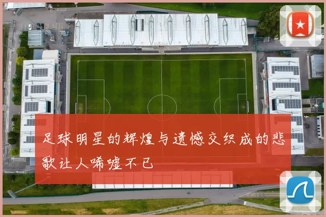 足球明星的辉煌与遗憾交织成的悲歌让人唏嘘不已