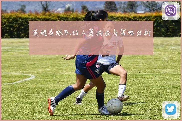 英超各球队的人员构成与策略分析