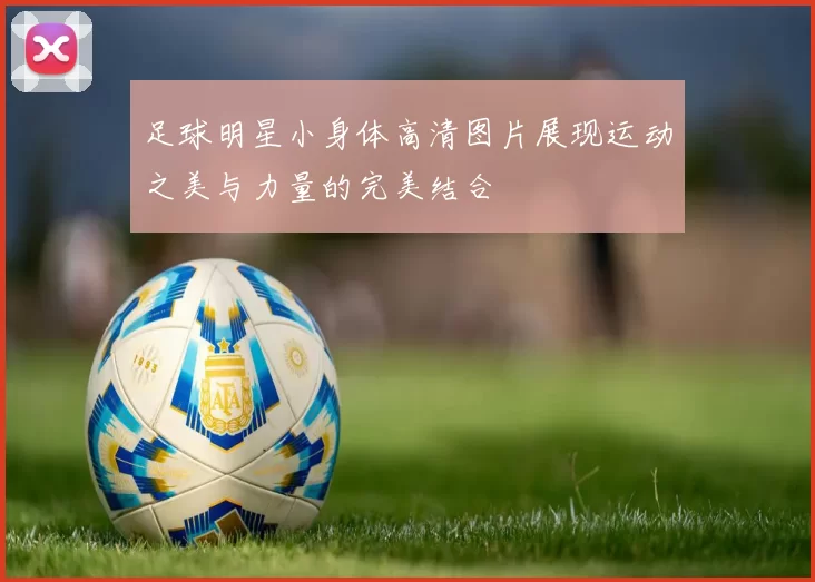 足球明星小身体高清图片展现运动之美与力量的完美结合