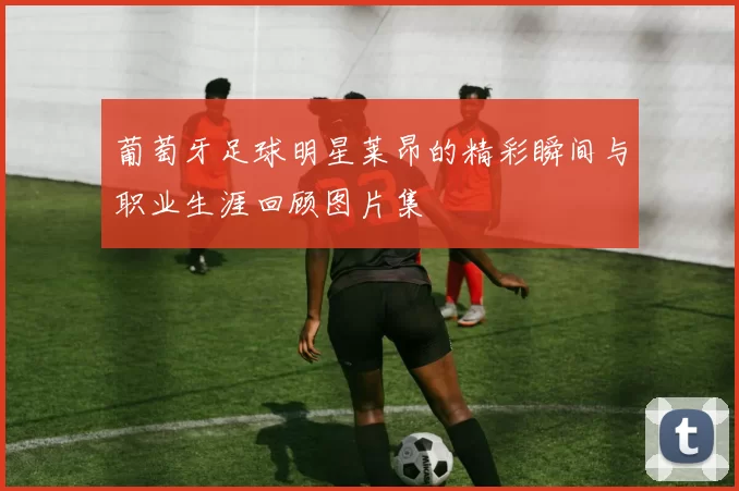 葡萄牙足球明星莱昂的精彩瞬间与职业生涯回顾图片集