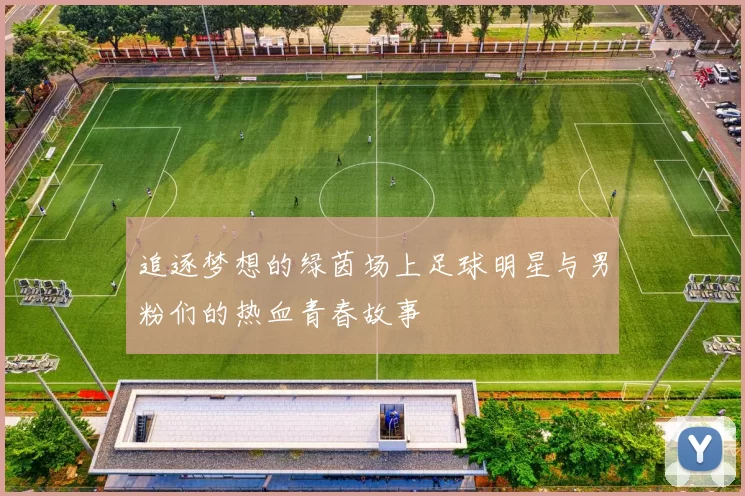 追逐梦想的绿茵场上足球明星与男粉们的热血青春故事