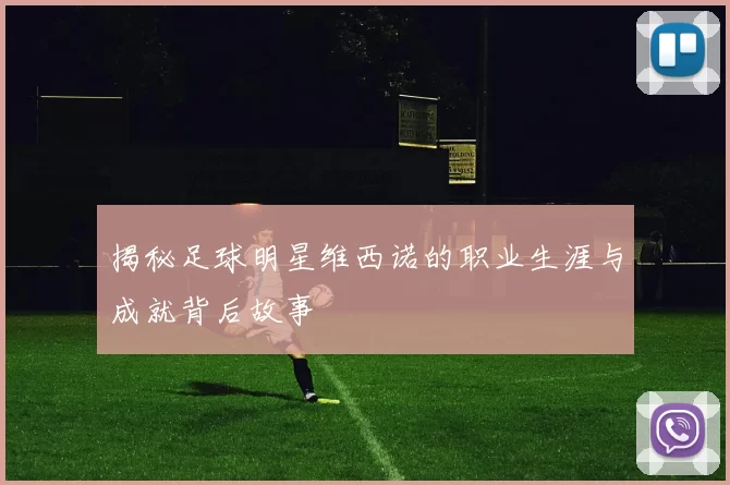 揭秘足球明星维西诺的职业生涯与成就背后故事