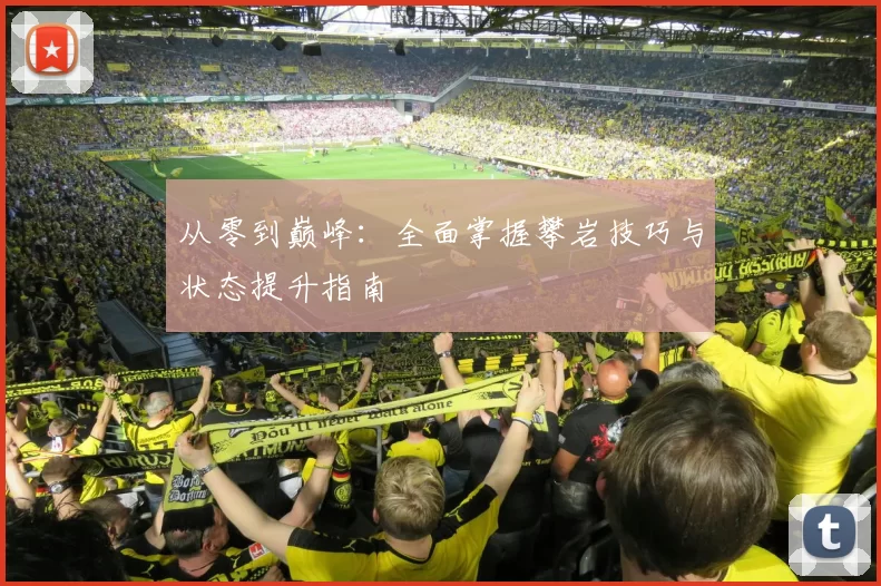 从零到巅峰：全面掌握攀岩技巧与状态提升指南