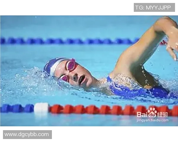 掌握自由泳技巧 提升游泳速度与效率的全方位训练指南