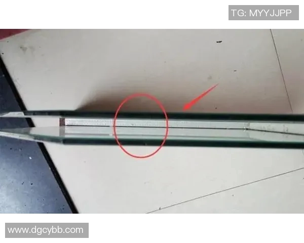 渔具的选择与使用技巧：从新手到高手的全面指南