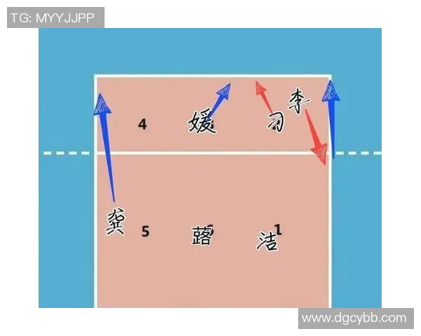深圳排球队进攻策略分析与战术解读助力球队崛起
