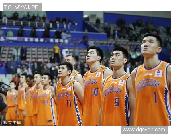 深圳篮球队在奥运会中的默契配合与战术执行点评分析