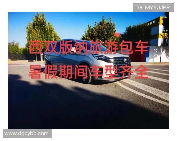 灵活便捷的汽车租赁服务助力您的出行需求,让旅行更加轻松无忧